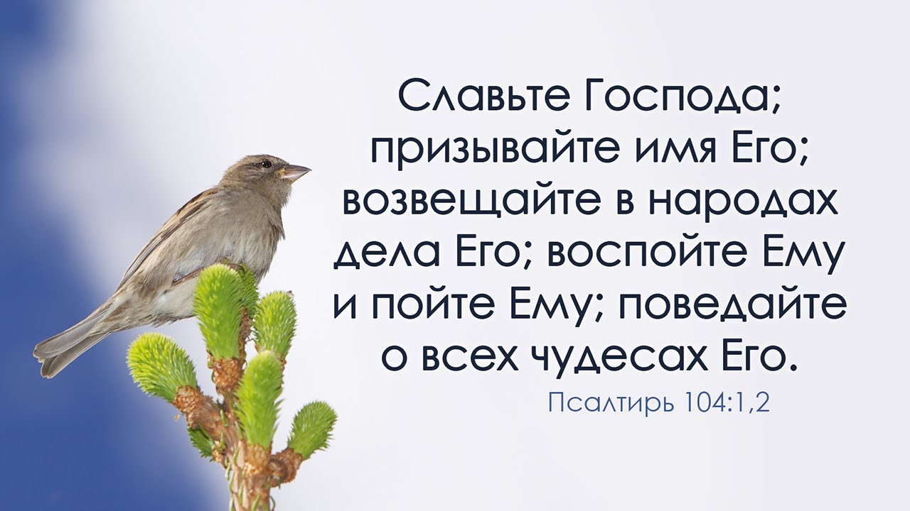 Пой душа господа. Славьте Бога. Цитаты из Библии птицы. Птицы славят Бога. Библейские стихи.