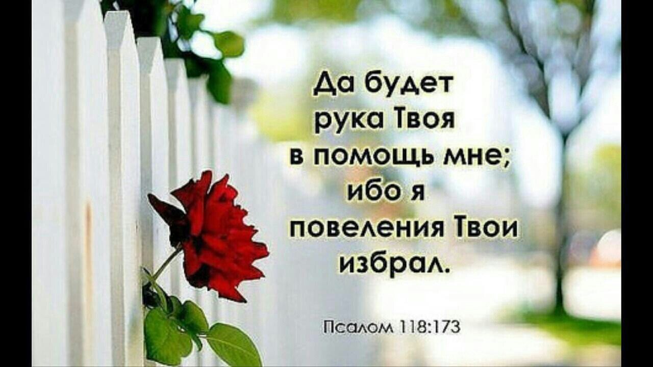 Антем «Воззри на бедствие мое» 