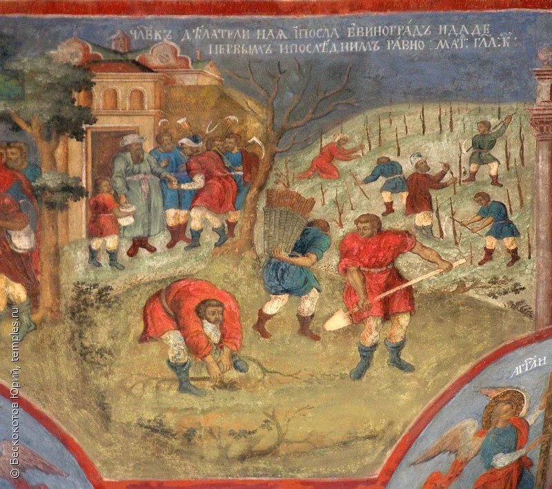 Евангелие притча о виноградарях. Притча о злых. Притча о злых виноградарях. Евангелие о злых виноградарях. Евангелие о злых виноградарях.