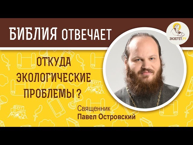 Откуда экологические проблемы? 