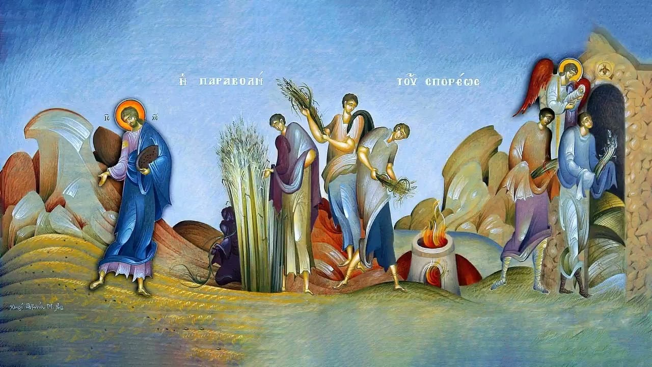 Притча о семени и плевелах Притча о семени и плевелах