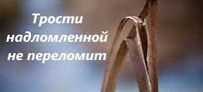 «Не преломит трости надломленной»