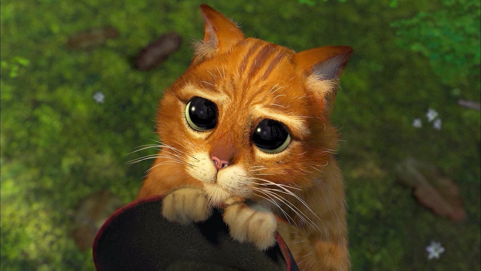 Месть или прощение?