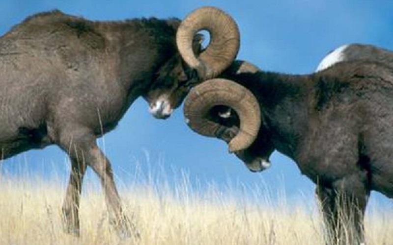 Рождается ли в споре истина? Рождается ли в споре истина?