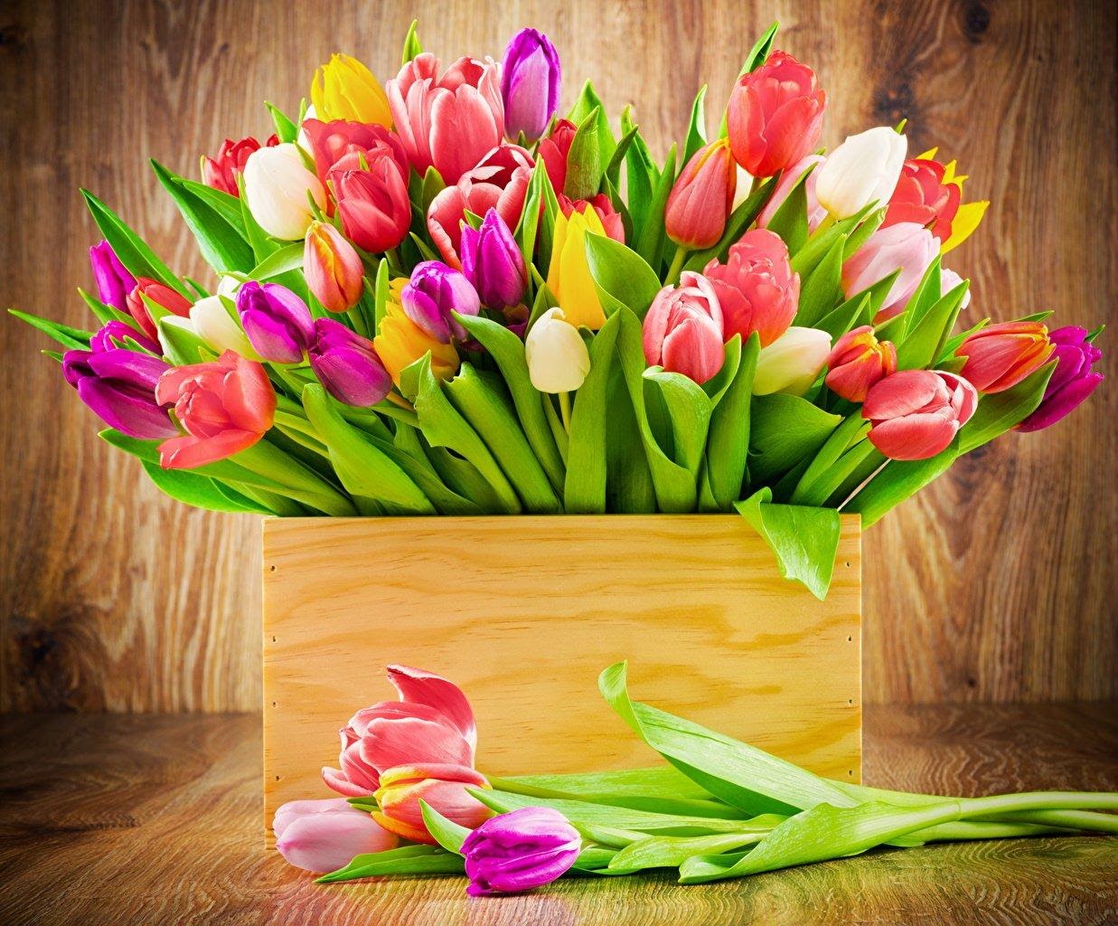 «8 Марта – праздник дам?»