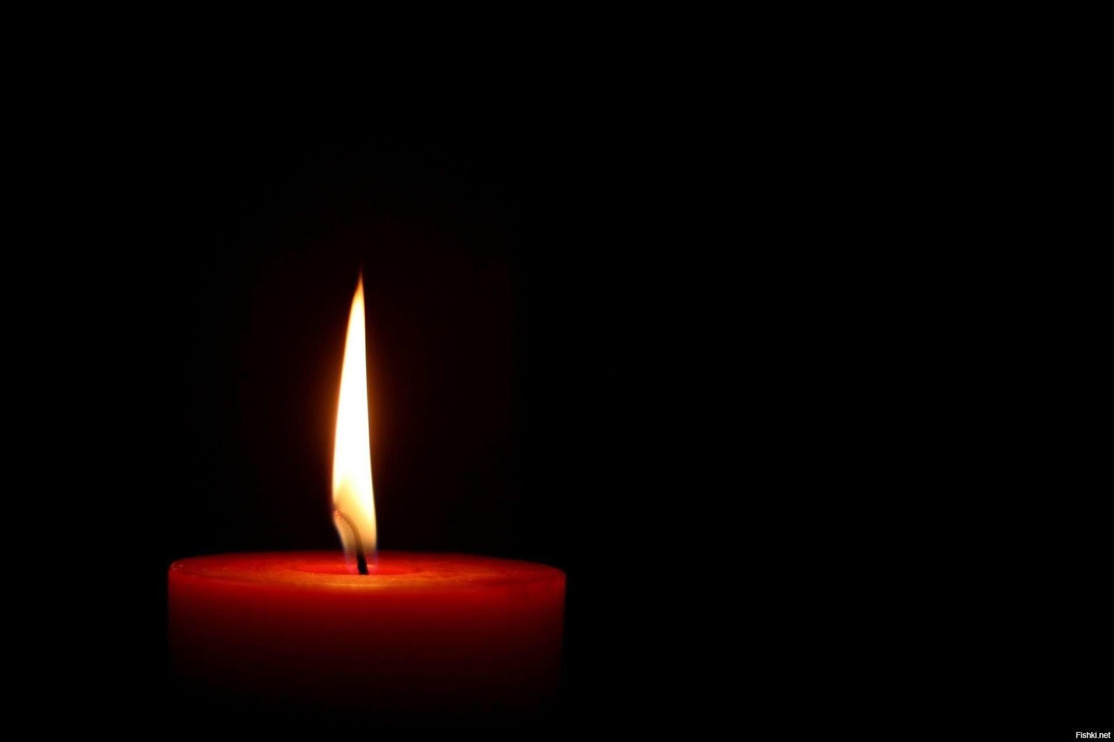 Земля – пухом?